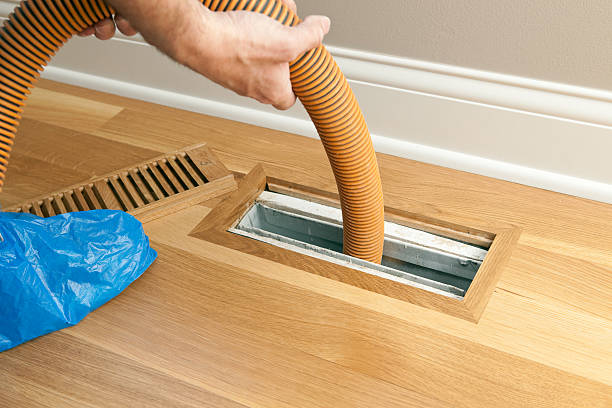 Best Air Duct Sanitizing Services  in Dillon, MT